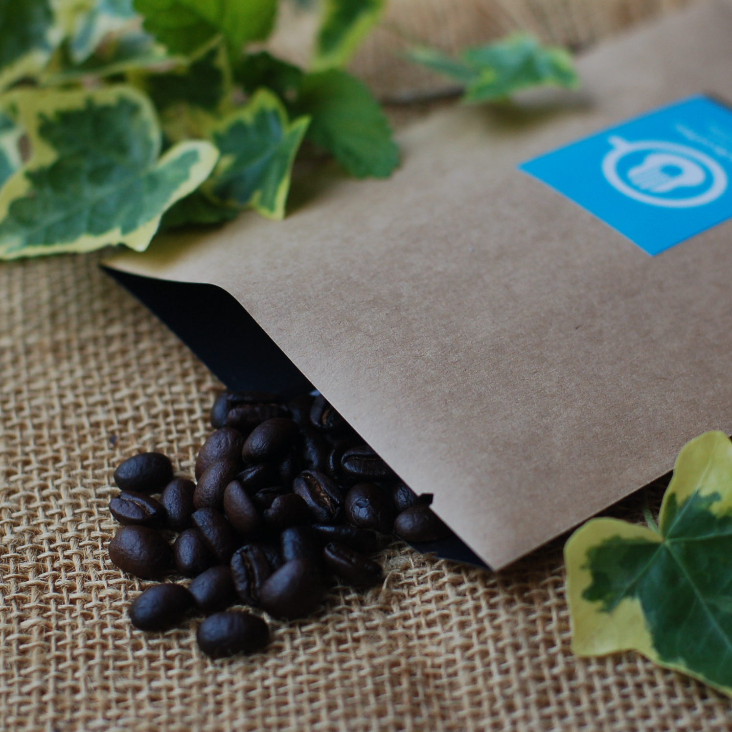 自家焙煎コーヒー＆キッチンカー